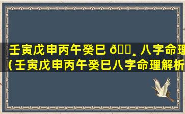 壬寅戊申丙午癸巳 🌸 八字命理（壬寅戊申丙午癸巳八字命理解析）